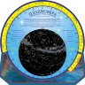 Подвижная карта звёздного неба "Планисфера"